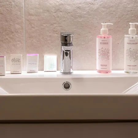 ホテル Dve Kule & Winery Bacinci