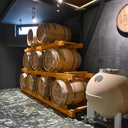 ホテル Dve Kule & Winery Bacinci