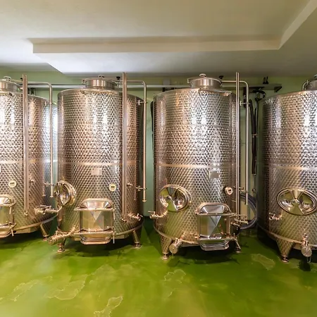 Dve Kule & Winery 4* Bacinci